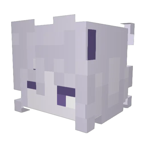 Gamer_EdwardLOL Minecraft avatar head, 3D render