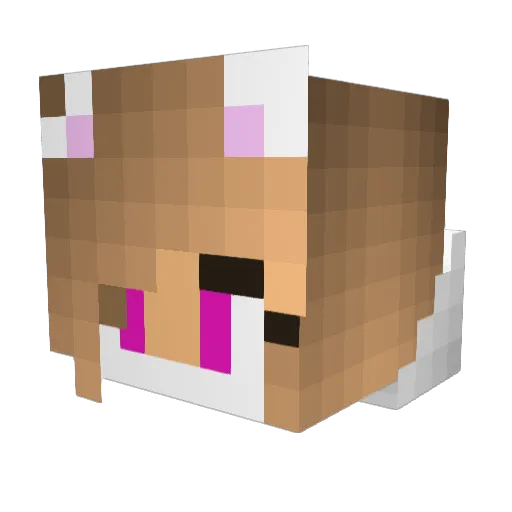 Gamer_Girl2007 Minecraft avatar head, 3D render