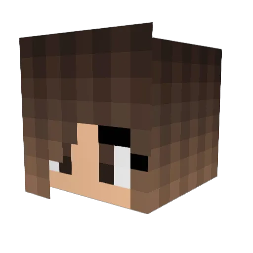Gamer_Girl207 Minecraft avatar head, 3D render