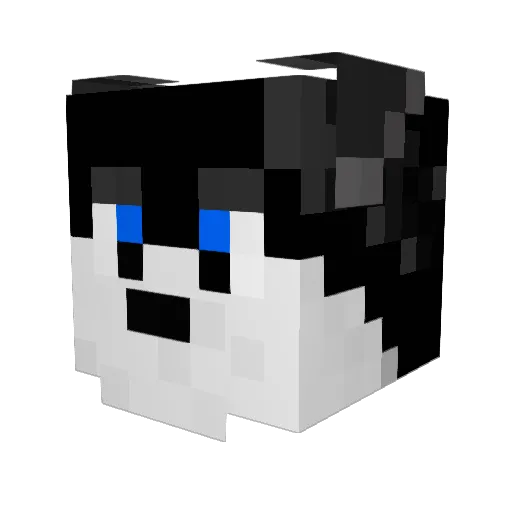 Gamer_HDY Minecraft avatar head, 3D render