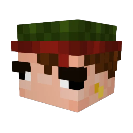 Gamer_Panda56 Minecraft avatar head, 3D render