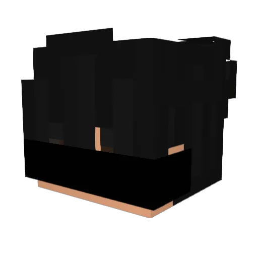 Gamer_Slayer55 Minecraft avatar head, 3D render