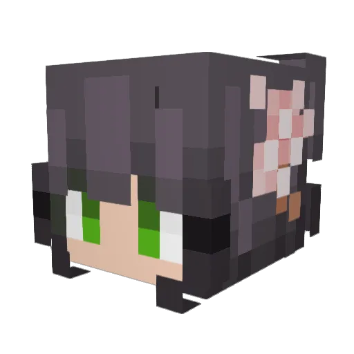 Gamer_Tag Minecraft avatar head, 3D render