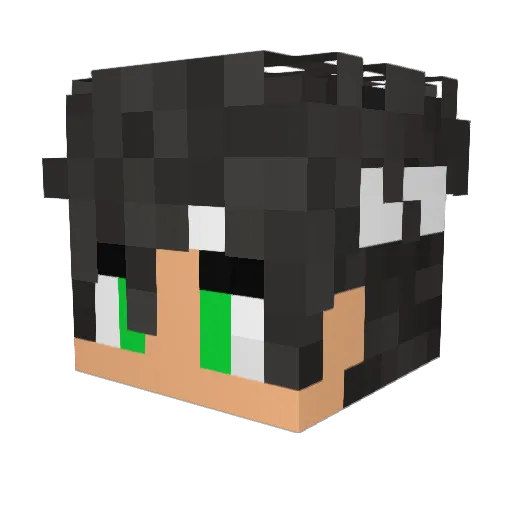Gamer_boy_1 Minecraft avatar head, 3D render