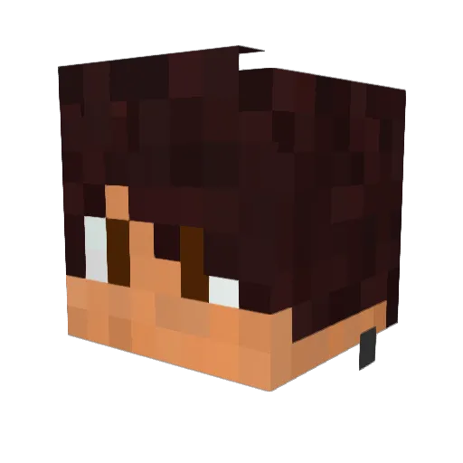 Gamerblanck123 Minecraft avatar head, 3D render