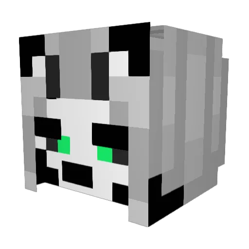 Gamerbro5925 Minecraft avatar head, 3D render