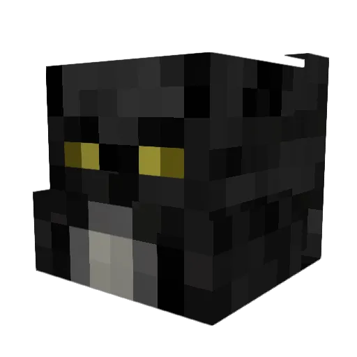 Gamerdog1111111 Minecraft avatar head, 3D render