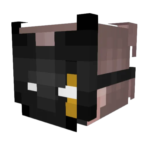 Gamerdog37 Minecraft avatar head, 3D render