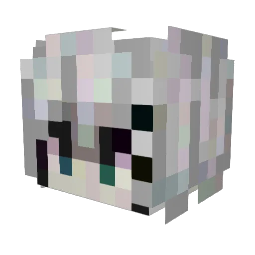 Gamerdude3376 Minecraft avatar head, 3D render