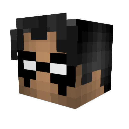Gamerfreak231 Minecraft avatar head, 3D render