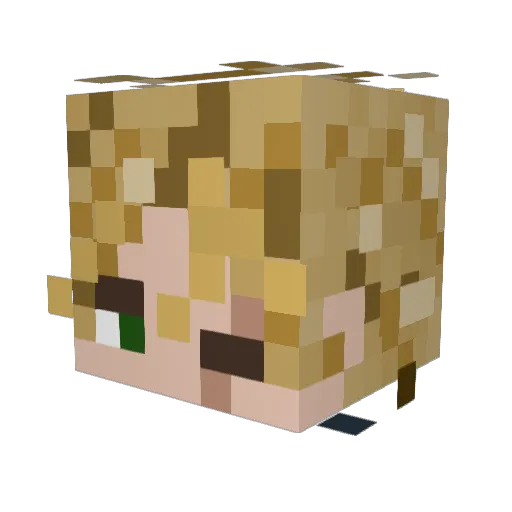 Gamerguy4119 Minecraft avatar head, 3D render