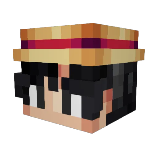 GamerguyE9702 Minecraft avatar head, 3D render