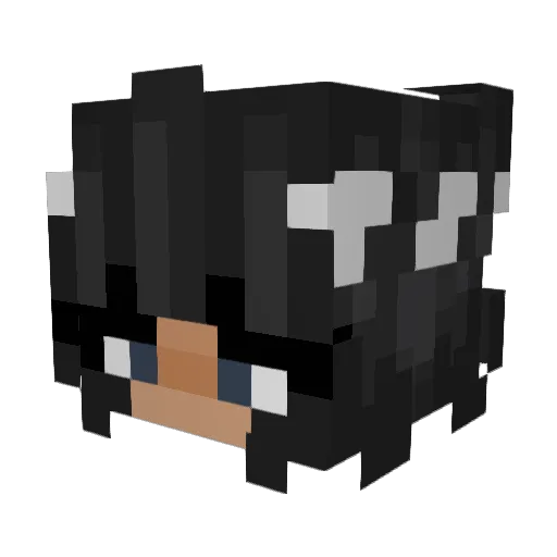 Gamerlicorn Minecraft avatar head, 3D render