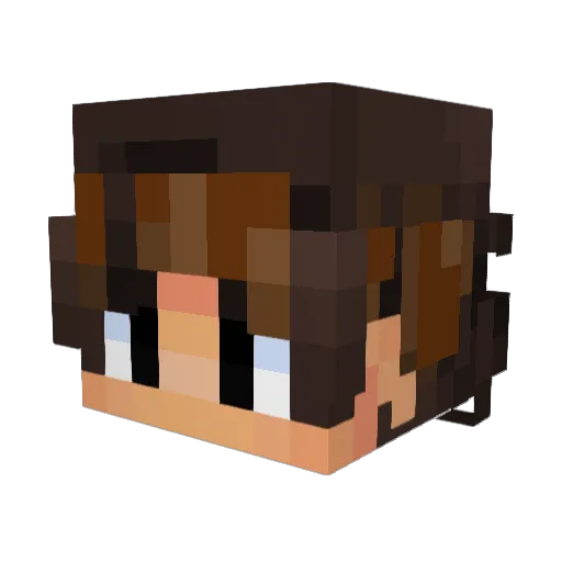 Gamerpro12344321 Minecraft avatar head, 3D render