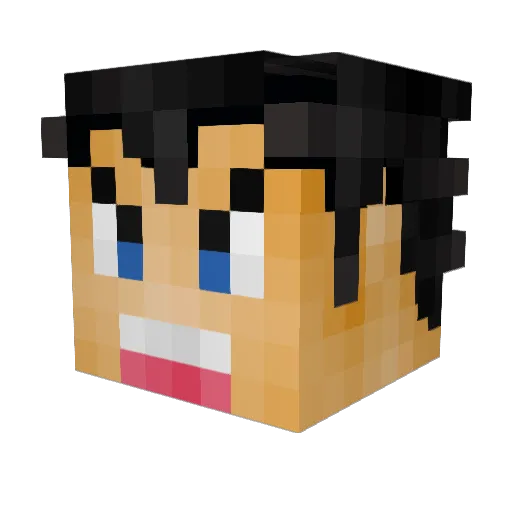 Gamerulez Minecraft avatar head, 3D render