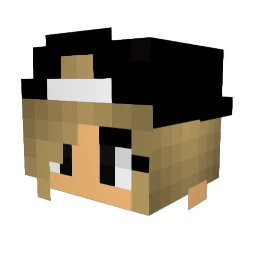 Gamerwolf0507 Minecraft avatar head, 3D render