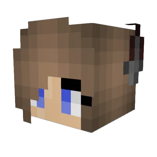 Gametes Minecraft avatar head, 3D render