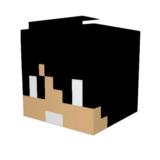 Gaming4everpro Minecraft avatar head, 3D render