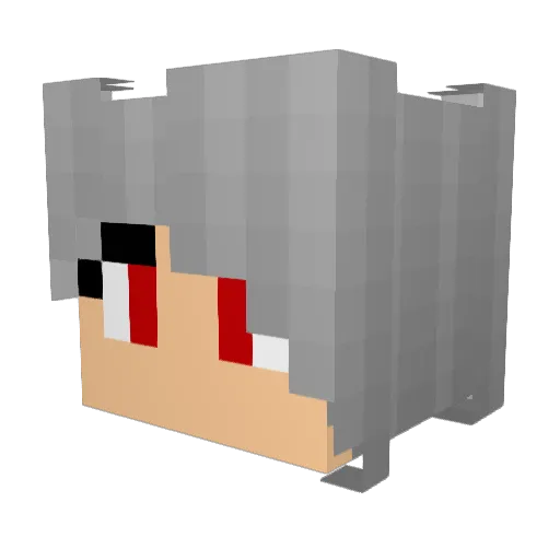 GamingAce04 Minecraft avatar head, 3D render
