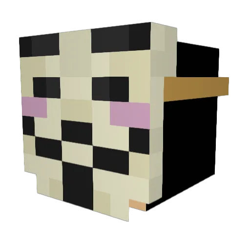 GamingBaron666 Minecraft avatar head, 3D render