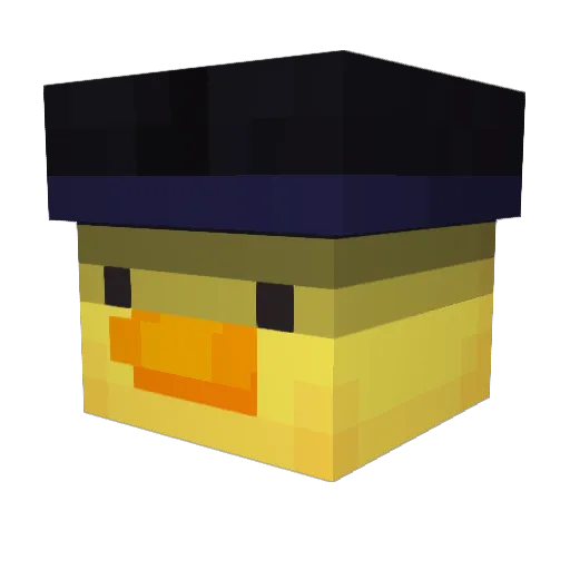 GamingJaden5954 Minecraft avatar head, 3D render
