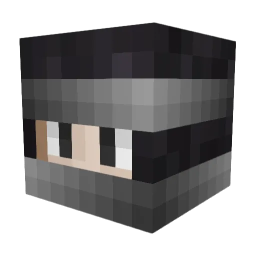 GamingNiller Minecraft avatar head, 3D render