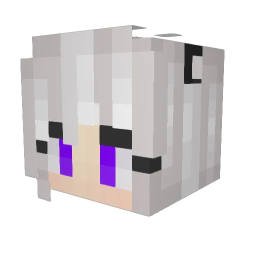 GamingSensei10 Minecraft avatar head, 3D render