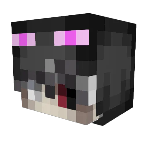 GamingSucc Minecraft avatar head, 3D render