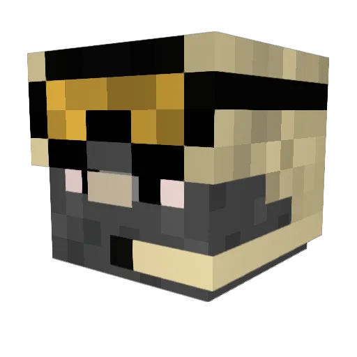 GamingValter12 Minecraft avatar head, 3D render