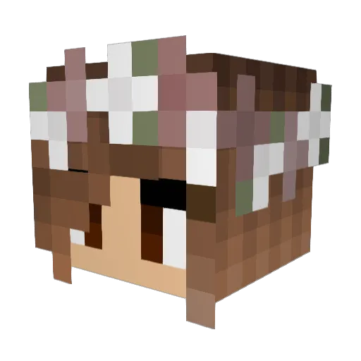 GamingWithWhybro Minecraft avatar head, 3D render