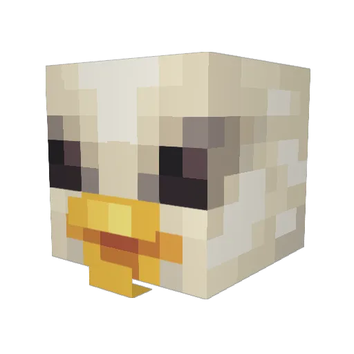 Gaming__Seagull Minecraft avatar head, 3D render