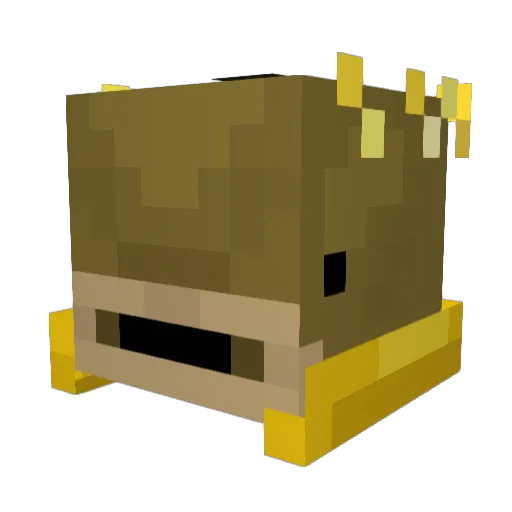Gamingguy245 Minecraft avatar head, 3D render