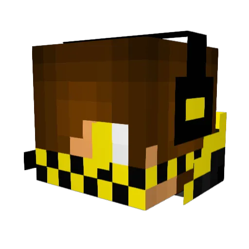 Gamingnerd235 Minecraft avatar head, 3D render