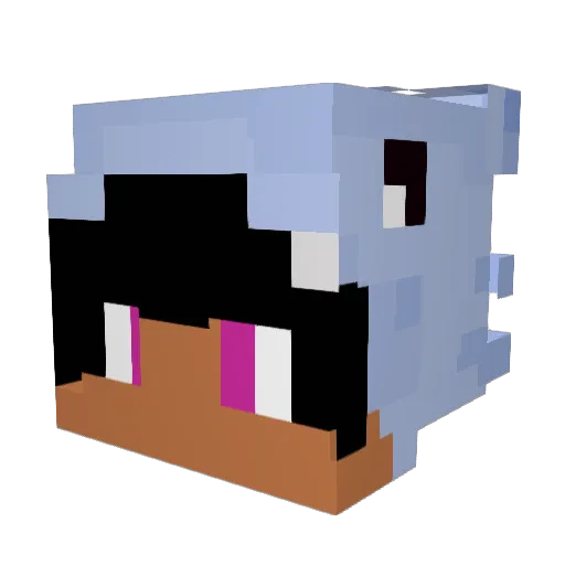Gamma2Swift Minecraft avatar head, 3D render