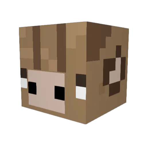 Gammingardvark Minecraft avatar head, 3D render