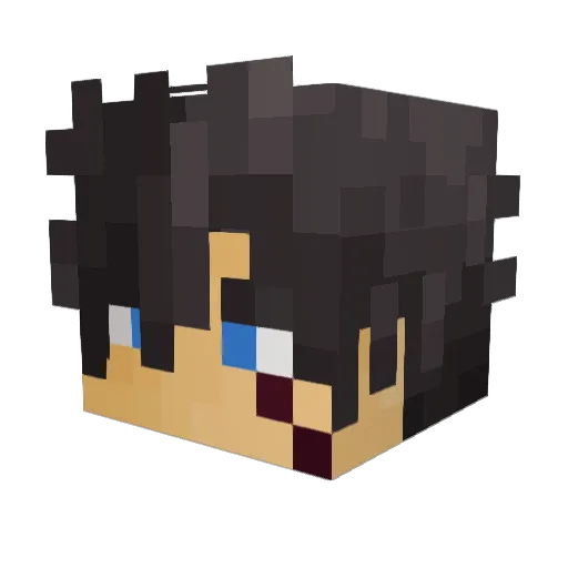 Gamoss2923 Minecraft avatar head, 3D render