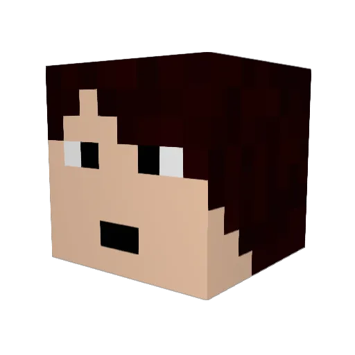 Ganade Minecraft avatar head, 3D render