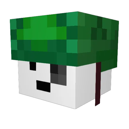 GandalfJames Minecraft avatar head, 3D render