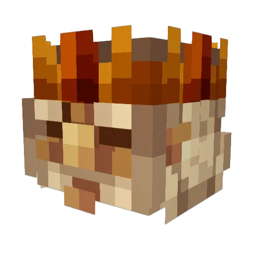GandalfTheDwarf Minecraft avatar head, 3D render