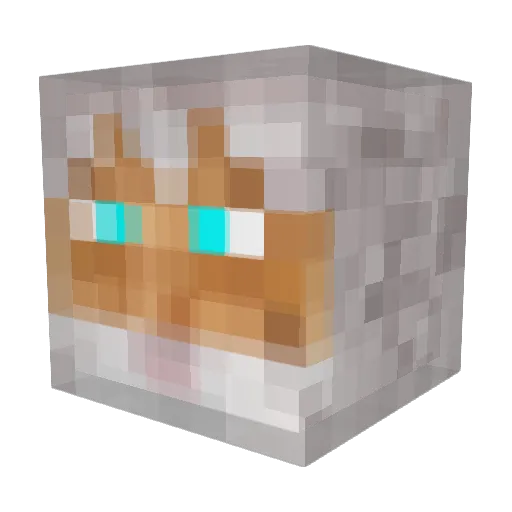 GandalfderKek Minecraft avatar head, 3D render