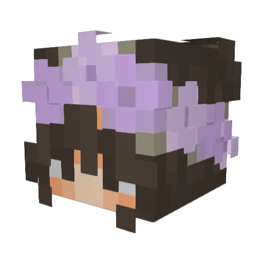 Gandalfthedude Minecraft avatar head, 3D render