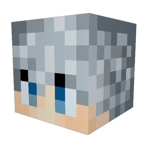 GangstaTurtle_ Minecraft avatar head, 3D render