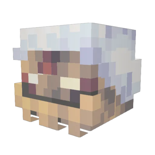 Ganimedess Minecraft avatar head, 3D render