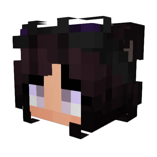 Gannon454 Minecraft avatar head, 3D render