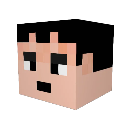 Ganon902 Minecraft avatar head, 3D render