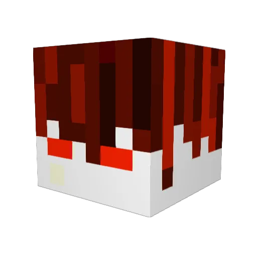Ganox685 Minecraft avatar head, 3D render
