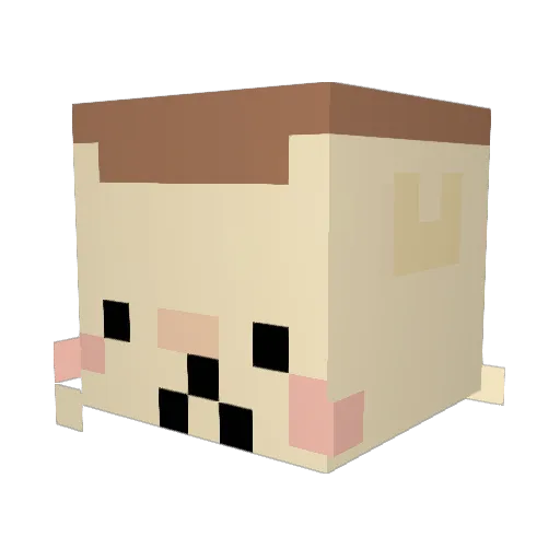 Ganster_DG Minecraft avatar head, 3D render