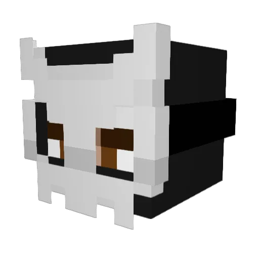 Gansterito Minecraft avatar head, 3D render