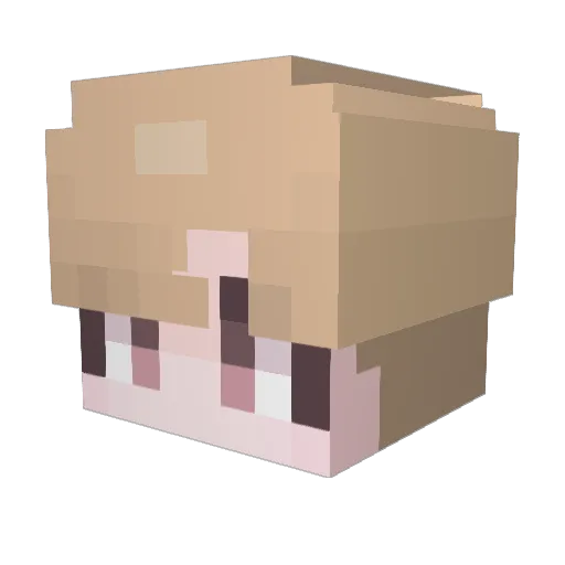 Ganuner Minecraft avatar head, 3D render