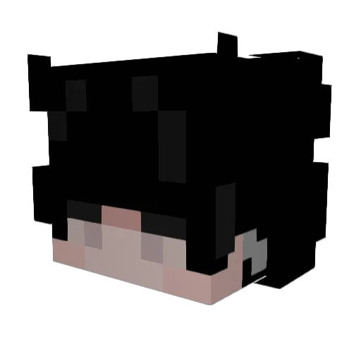 Ganzardo Minecraft avatar head, 3D render